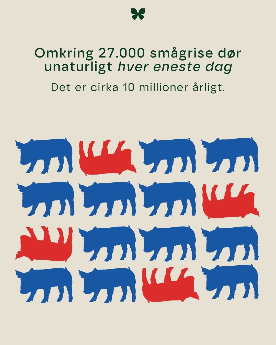 Instagram-opslag 2 · Omkring 27.000 smågrise dør unaturligt hver eneste dag