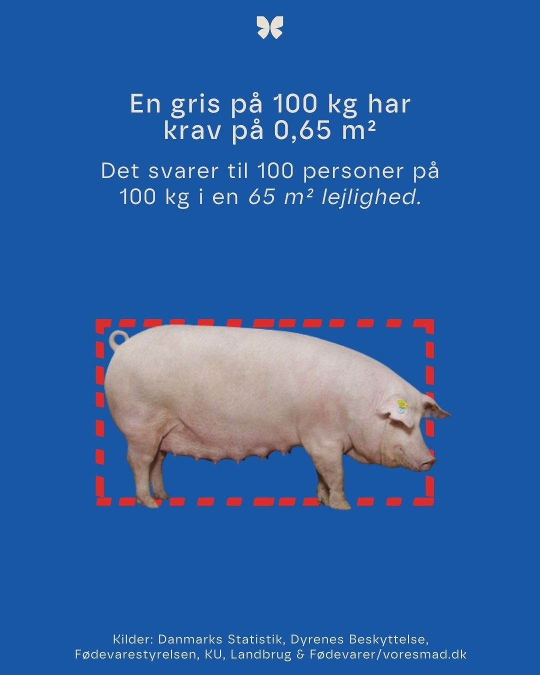 Instagram-opslag 3 · En gris på 100 kg har krav på 0,65 m²